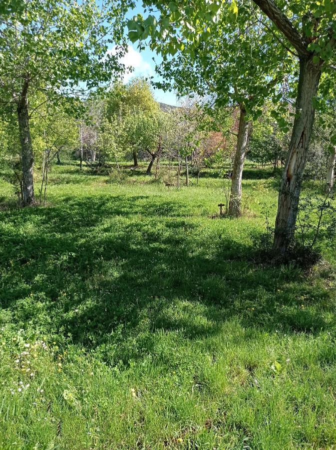camping yaso-guara Bagian luar foto