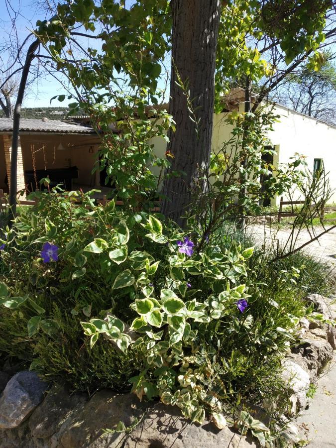 camping yaso-guara Bagian luar foto